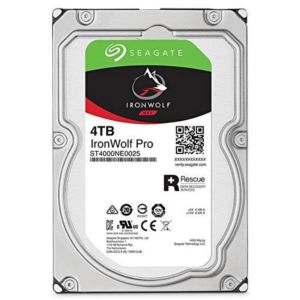 Ổ cứng Seagate Ironwolf Pro 4TB ST4000NE001