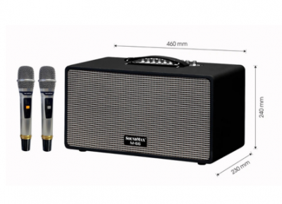 Loa kéo SoundMax M66 (màu đen)