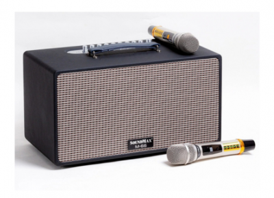 Loa kéo SoundMax M66 (màu đen)