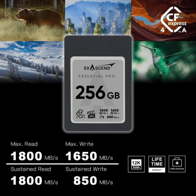 Thẻ nhớ CFexpress (Type A) - Essential Pro - 256GB hiệu Exascend, model: EXPC4EA256GB
