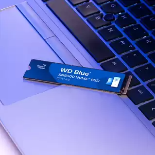 Ổ cứng gắn trong SSD WD Blue SN5000 NVMe SSD 4TB PCIe Gen 4x4, 5Y WTY_WDS400T4B0E-00BKY0