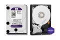 Ổ cứng camera WD PURPLE 1TB( WD10PURX) 