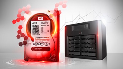 WD HDD Caviar Red 5TB 3.5"- WD50EFRX