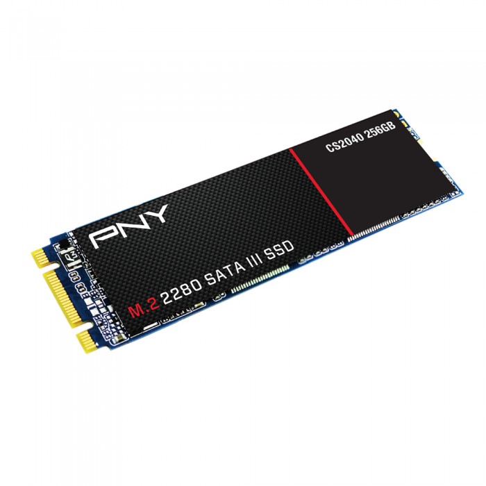 Ổ cứng cắm trong - PNY CS2040 M.2 2280 SATAIII SSD 256 GB