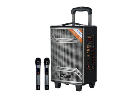 Loa kéo SoundMax M23