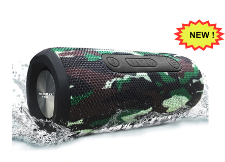 Loa Bluetooth di động SOUNDMAX R-800