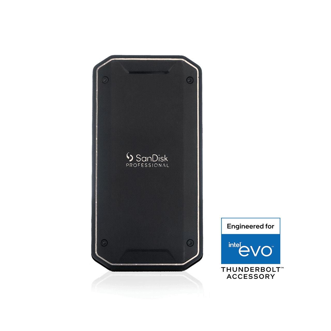 Ổ cứng gắn ngoài SanDisk 4TB Thunderbolt SDPS31H-004T-GBC1D
